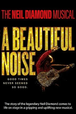 A Beautiful Noise